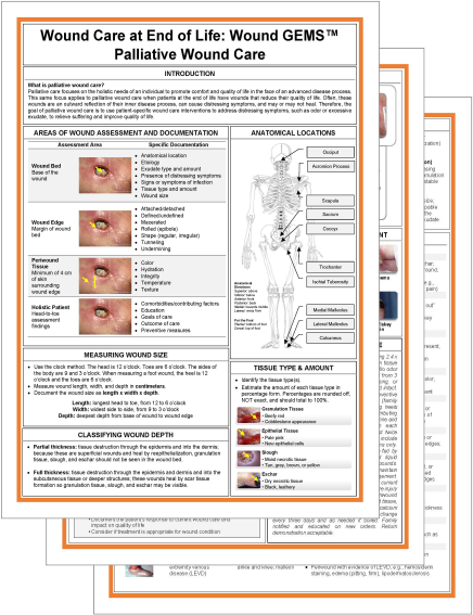 WoundGEMS Palliative Wound Care